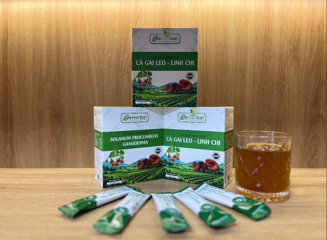 Nên chọn cao thảo dược hay trà túi lọc? Lựa chọn nào tốt hơn cho sức khỏe?